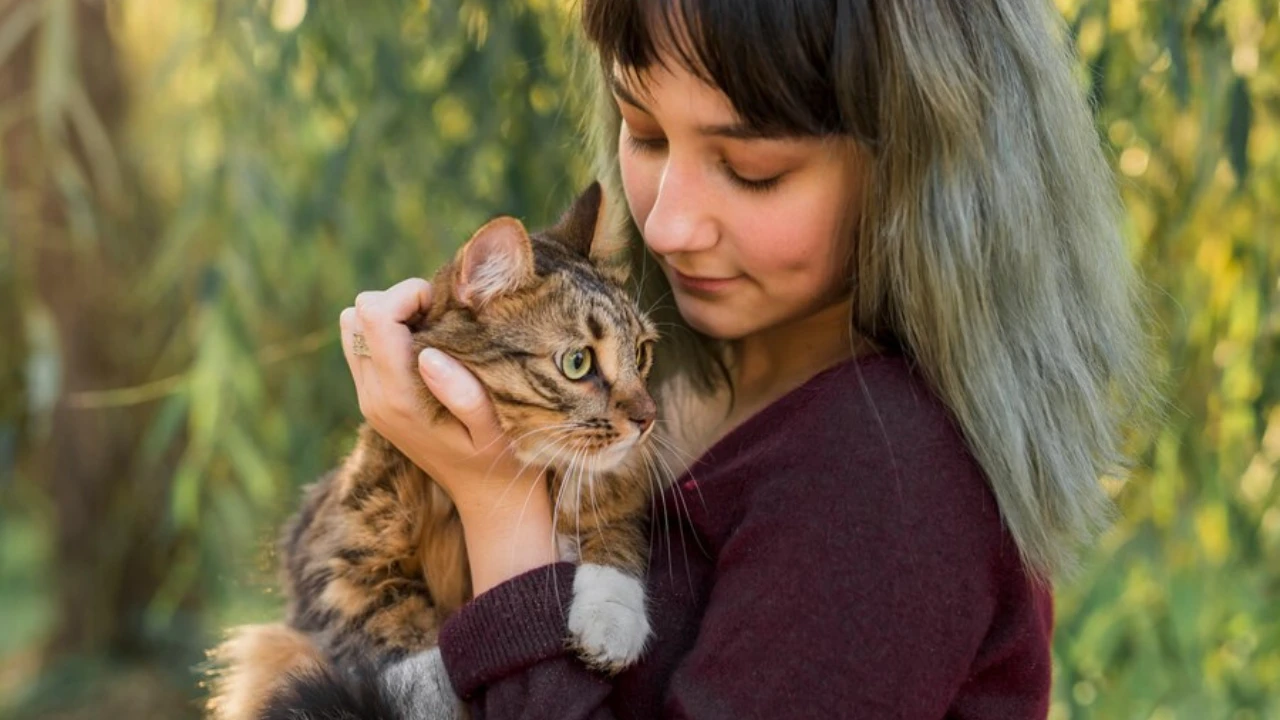 A Wild Surprise: Lynx Brings Kittens To Woman’s Door – The Vet’s Astonishing Reaction